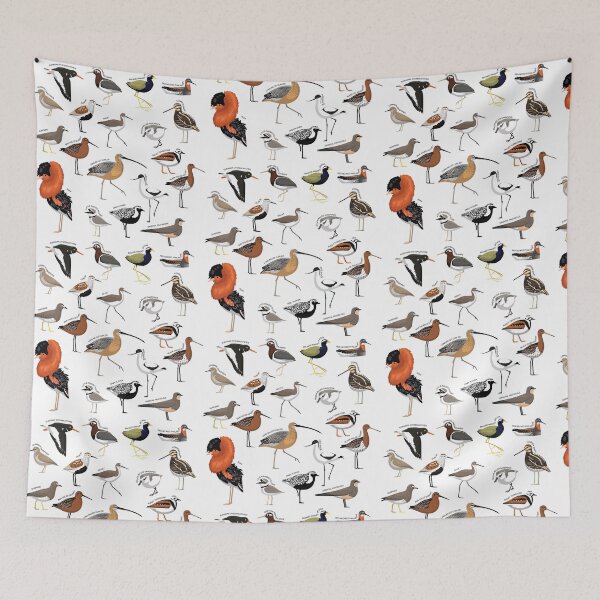Item preview, Wader Bird Various Species Collection Set designed and sold by SUPERHERON.