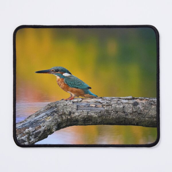 Item preview, kingfisher on a pond designed and sold by kathleenjean.