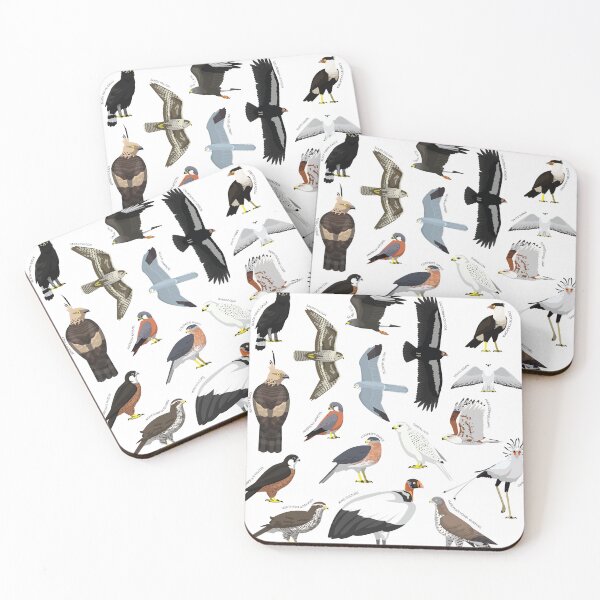 Item preview, Eagle Hawk Falcon Bird Various Species Collection Set designed and sold by SUPERHERON.