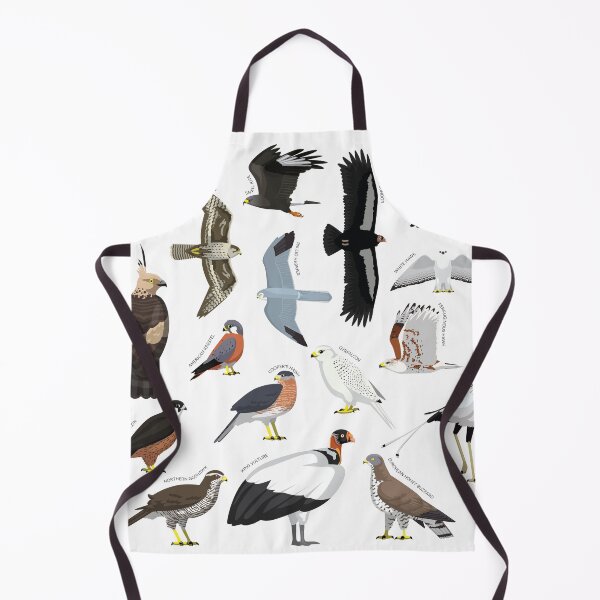 Item preview, Eagle Hawk Falcon Bird Various Species Collection Set designed and sold by SUPERHERON.