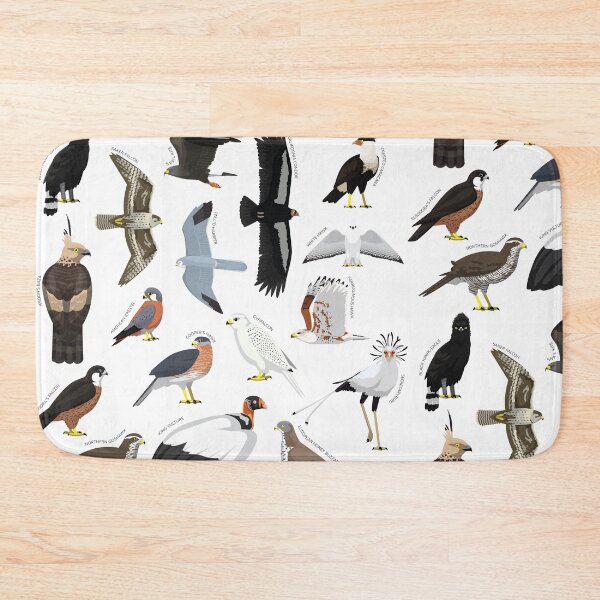 Item preview, Eagle Hawk Falcon Bird Various Species Collection Set designed and sold by SUPERHERON.
