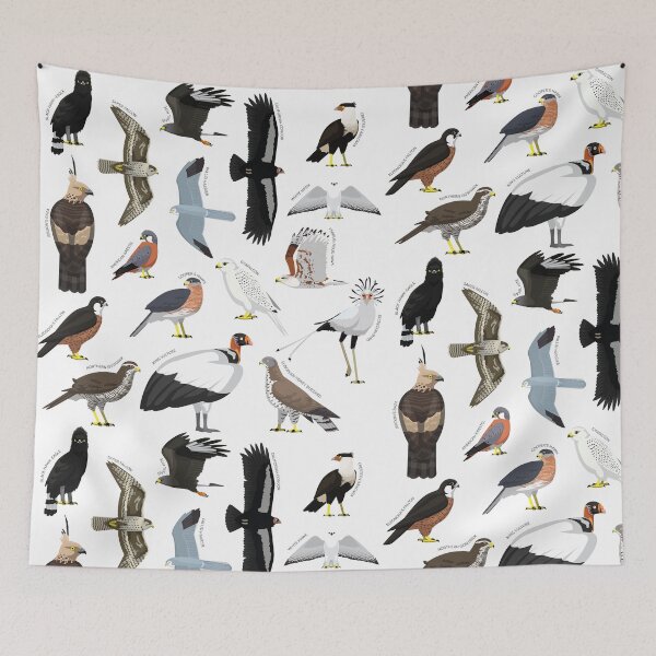 Item preview, Eagle Hawk Falcon Bird Various Species Collection Set designed and sold by SUPERHERON.