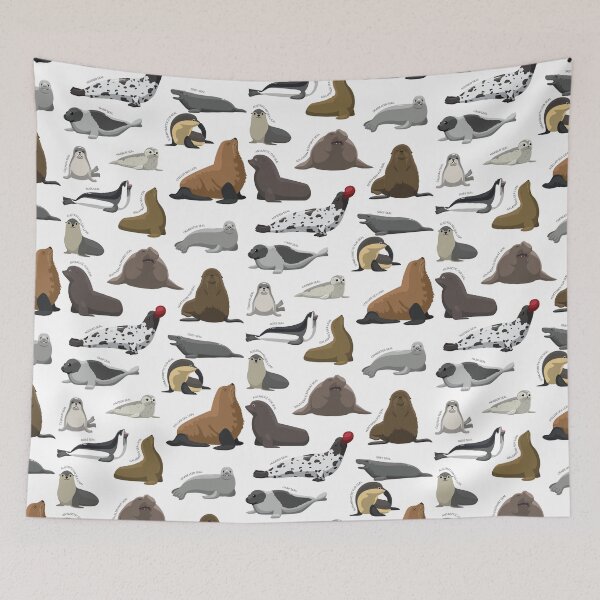 Item preview, Seal Sea lion Various Species Collection Set designed and sold by SUPERHERON.