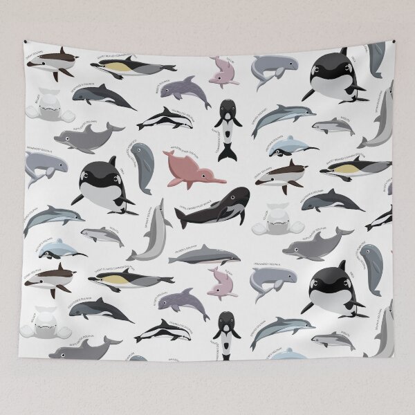 Item preview, Dolphin Various Species Collection Set designed and sold by SUPERHERON.