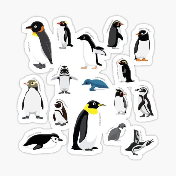 Item preview, Penguins Bird Various Species Collection Set designed and sold by SUPERHERON.
