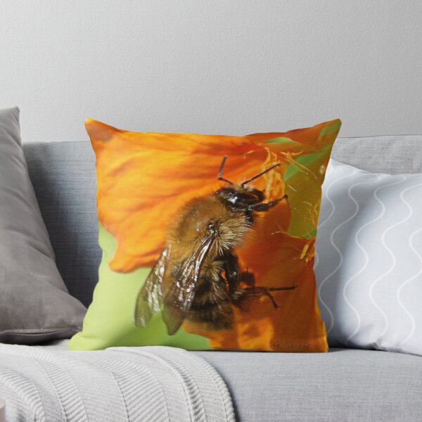 Aperçu de l'œuvre Nasturtium Bee créée et vendue par Gilberte.
