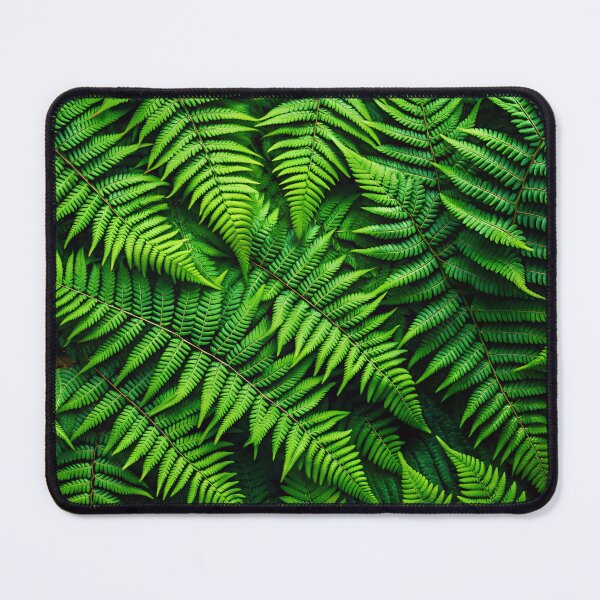 Item preview, Fern print green leaves, jungle, plants, nature, stickers, background, cover, cover fern designed and sold by Yunasak.