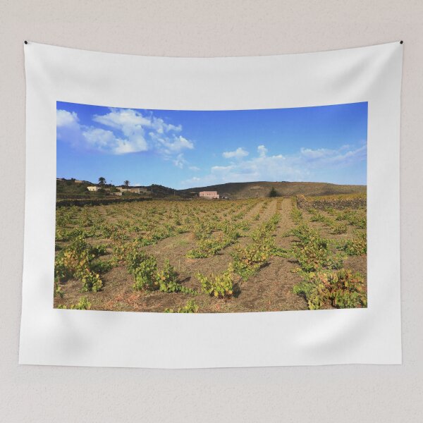 Item preview, The sapling vine of Pantelleria designed and sold by annalisa56.