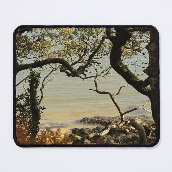 Item preview, Secluded Beach Ards Priory Donegal designed and sold by eddiebarronshop.
