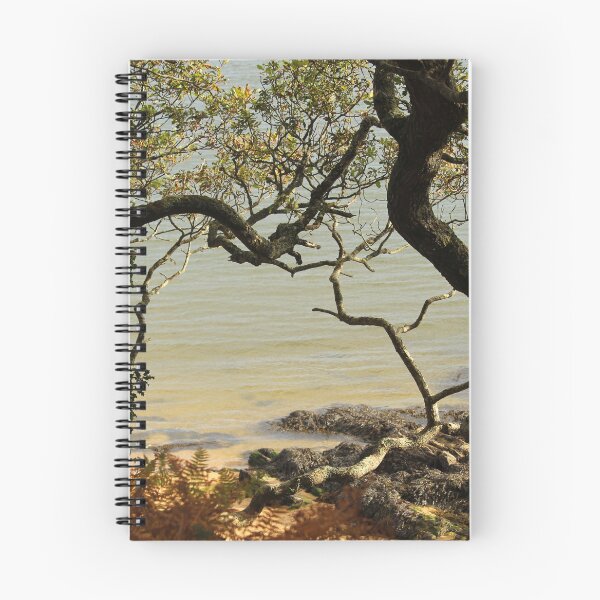 Item preview, Secluded Beach Ards Priory Donegal designed and sold by eddiebarronshop.