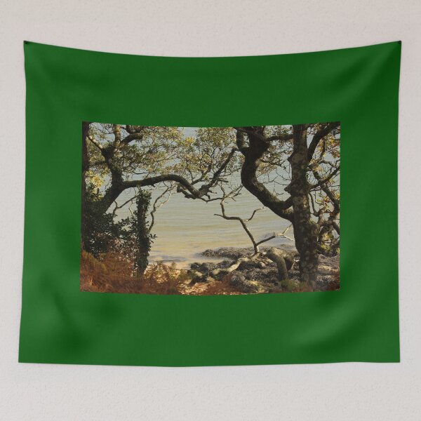 Item preview, Secluded Beach Ards Priory Donegal designed and sold by eddiebarronshop.