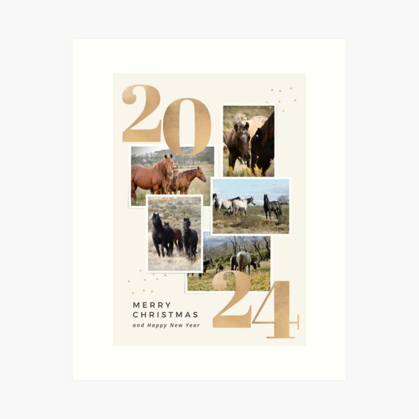 Item preview, 2024 Brumby Christmas Card designed and sold by DiamondR.