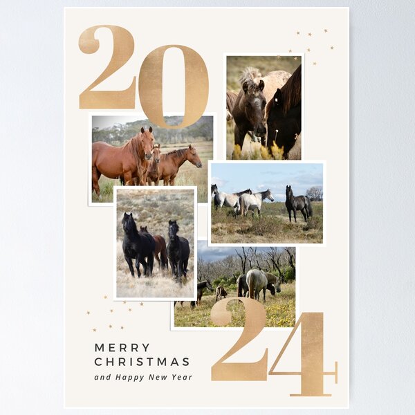 Item preview, 2024 Brumby Christmas Card designed and sold by DiamondR.