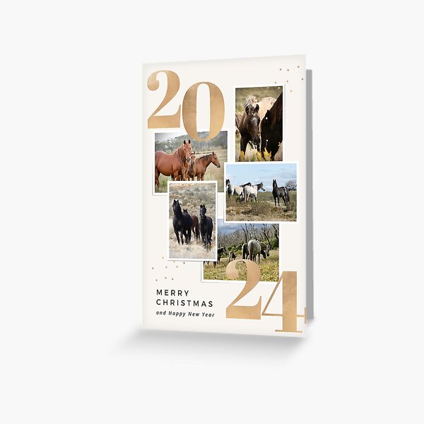 Item preview, 2024 Brumby Christmas Card designed and sold by DiamondR.