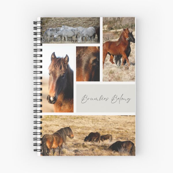 Item preview, Brumbies Belong designed and sold by DiamondR.