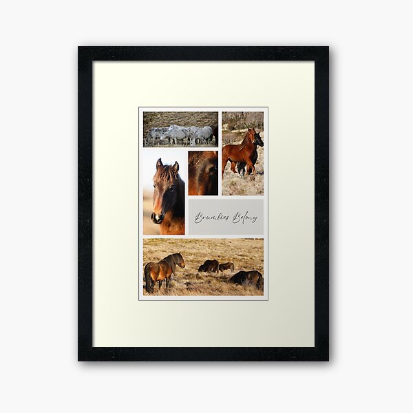 Item preview, Brumbies Belong designed and sold by DiamondR.