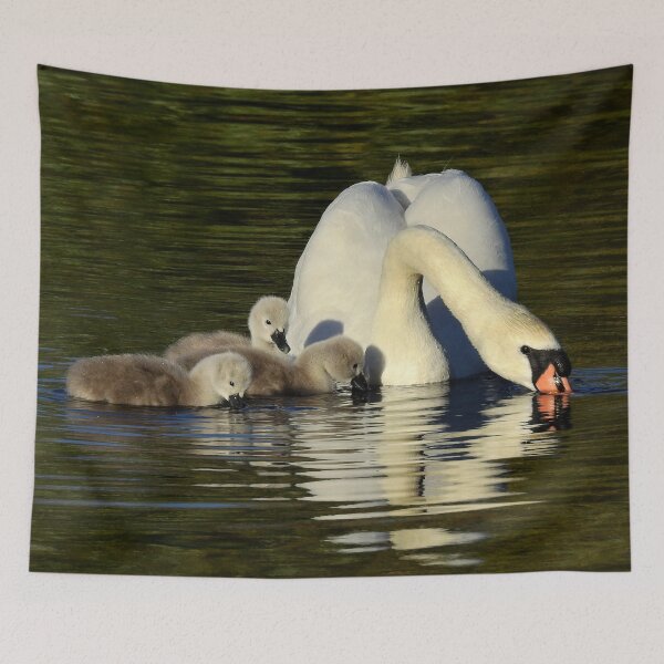 Item preview, Mother and cygnets designed and sold by NatureWatch10.