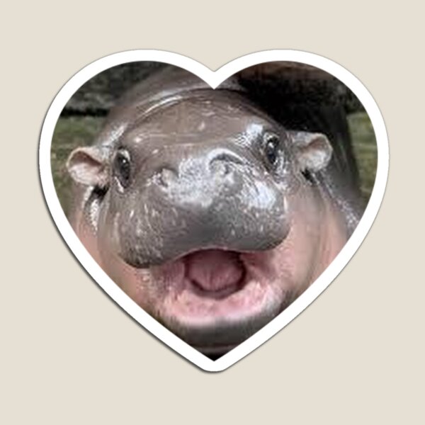 Item preview, Original Moo-Deng the famous Pygmy hippo designed and sold by SNOPPEZ.
