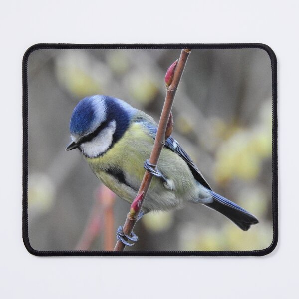 Item preview, LOST IN THOUGHT 1 designed and sold by NatureWatch10.