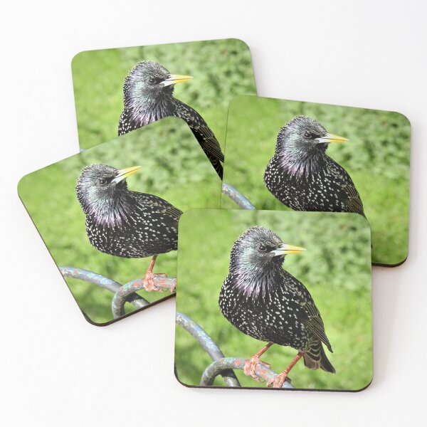 Item preview, PEARLY KING designed and sold by NatureWatch10.
