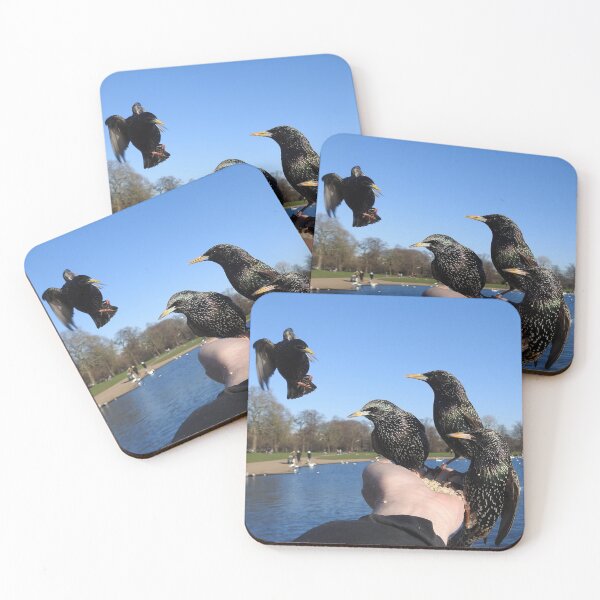 Item preview, LUNCHTIME FOR STARLINGS designed and sold by NatureWatch10.