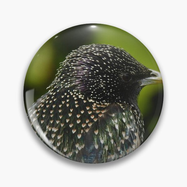 Item preview, A STUDY IN GREEN designed and sold by NatureWatch10.
