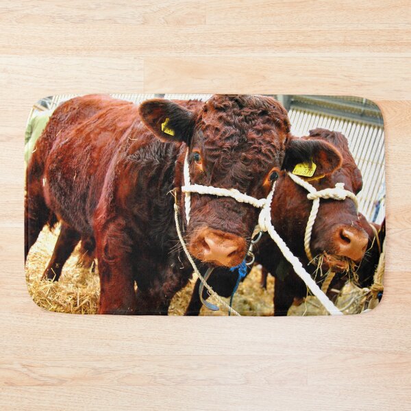 Item preview, Pedigree Red Ruby Devon Cow designed and sold by AndyEvansPhotos.
