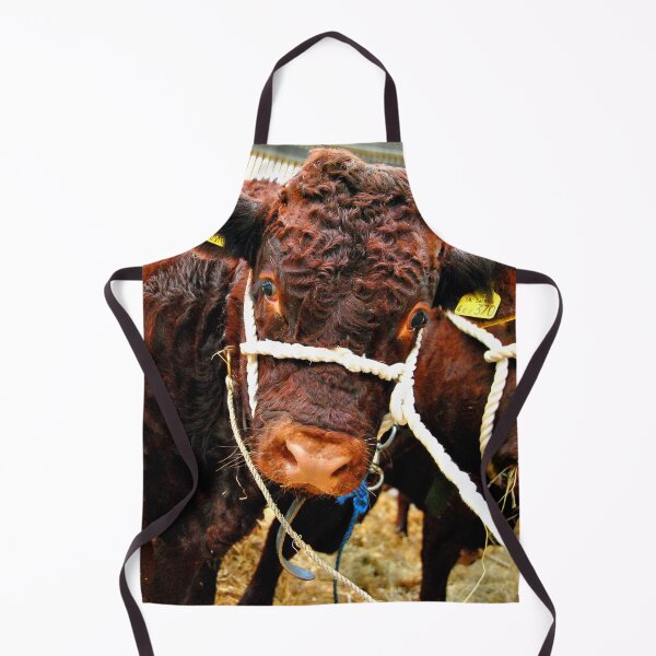 Item preview, Pedigree Red Ruby Devon Cow designed and sold by AndyEvansPhotos.