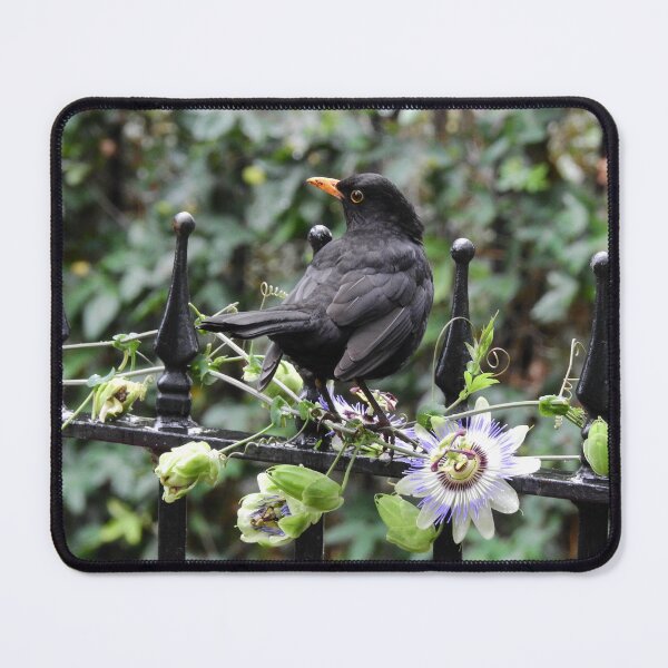 Item preview, HOLD THAT POSE 1 designed and sold by NatureWatch10.
