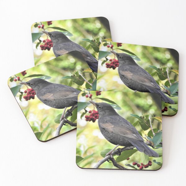 Item preview, A WELCOME WINTER VISITOR. designed and sold by NatureWatch10.