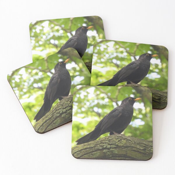 Item preview, BLACKBIRD ON FULL ALERT. designed and sold by NatureWatch10.