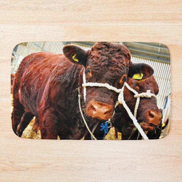 Item preview, Pedigree Red Ruby Devon Cow designed and sold by AndyEvansPhotos.