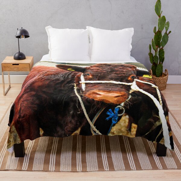 Item preview, Pedigree Red Ruby Devon Cow designed and sold by AndyEvansPhotos.