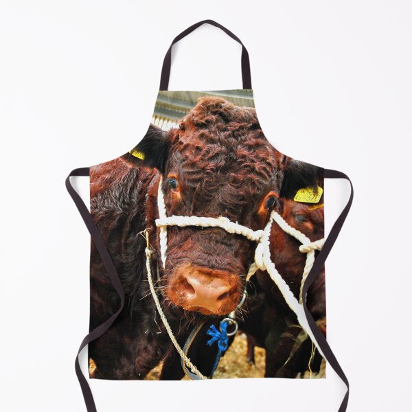 Item preview, Pedigree Red Ruby Devon Cow designed and sold by AndyEvansPhotos.