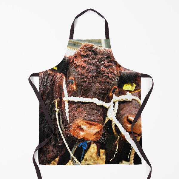 Item preview, Pedigree Red Ruby Devon Cow designed and sold by AndyEvansPhotos.