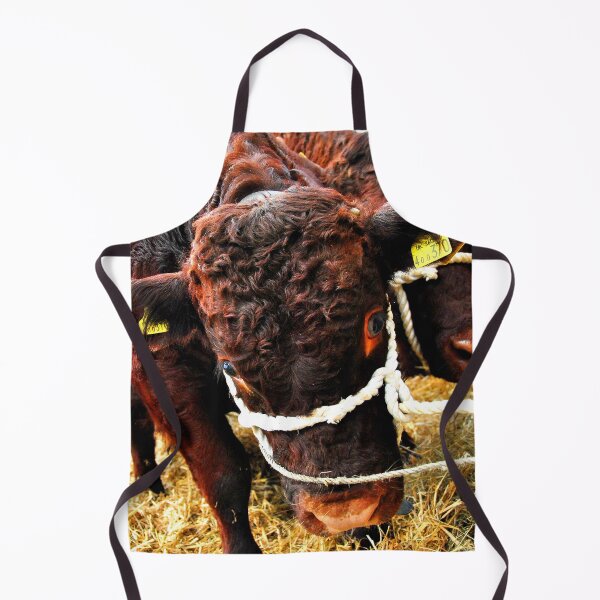 Item preview, Pedigree Red Ruby Devon Cow designed and sold by AndyEvansPhotos.