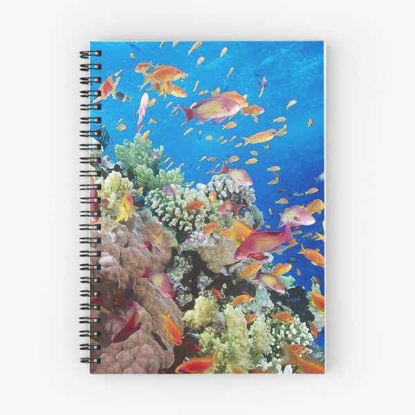 Item preview, coral reef fish deep sea sea floor designed and sold by AA-designstore.