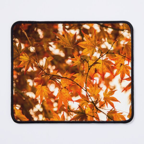 Item preview, Autumn acer designed and sold by Zolachrome Photography.
