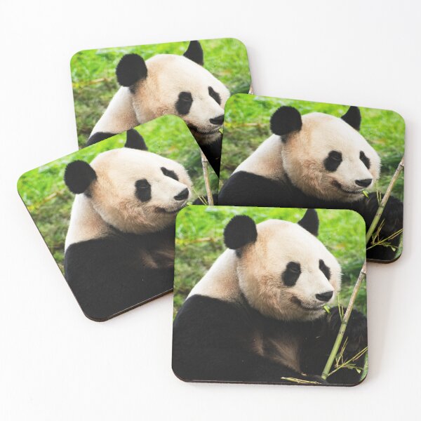 Item preview, Giant Panda snacking on bamboo designed and sold by LMH-Photography.