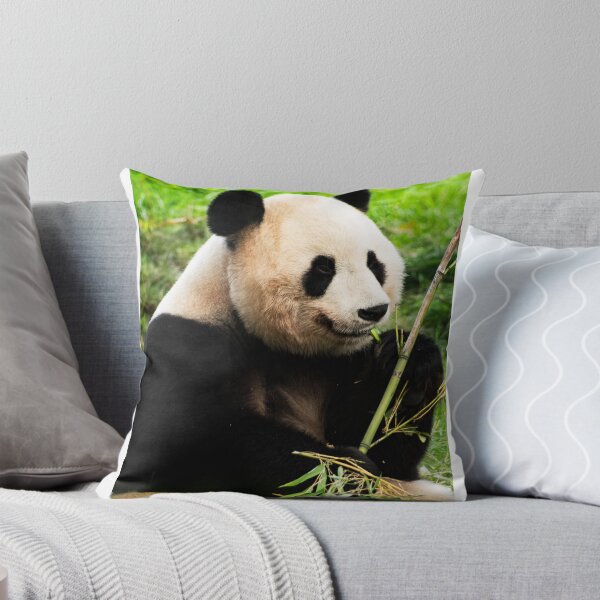 Item preview, Giant Panda snacking on bamboo designed and sold by LMH-Photography.