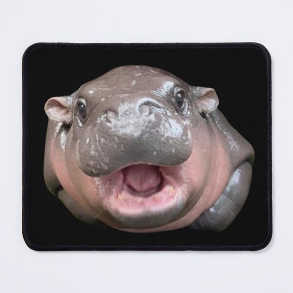 Item preview, Moo Deng designed and sold by Animal Overload.