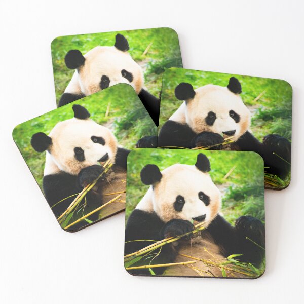 Item preview, Giant Panda Snacking on Bamboo designed and sold by LMH-Photography.