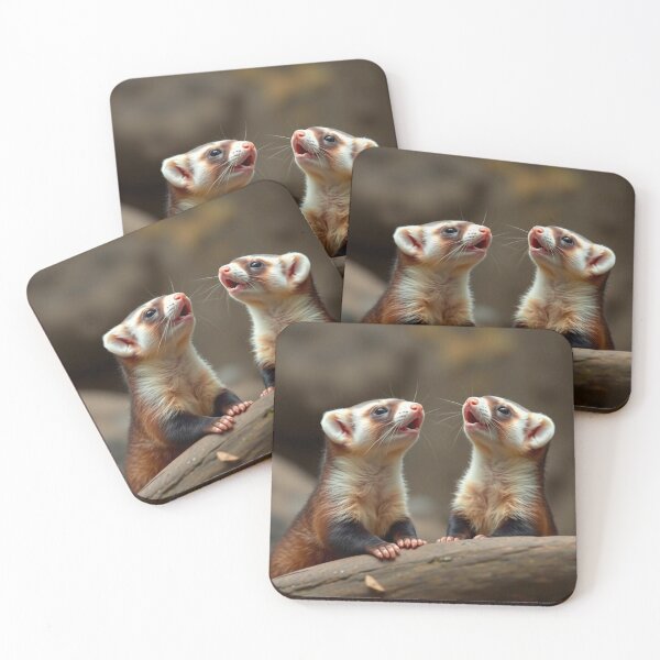 Item preview, Ferrets designed and sold by TreatLLC.