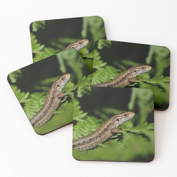 Item preview, Common lizard - Zootoca vivipara designed and sold by Christian Moss.