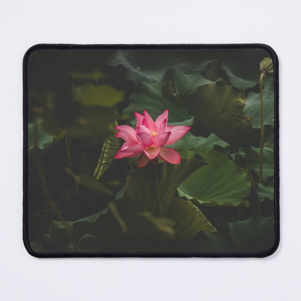 Item preview, Dreamy Kyoto - Arashiyama, Bamboo Forest #8 designed and sold by LucaRamble.