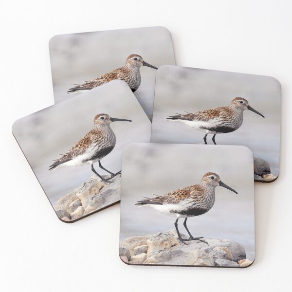 Item preview, Dunlin designed and sold by Tom McPherson Photography.