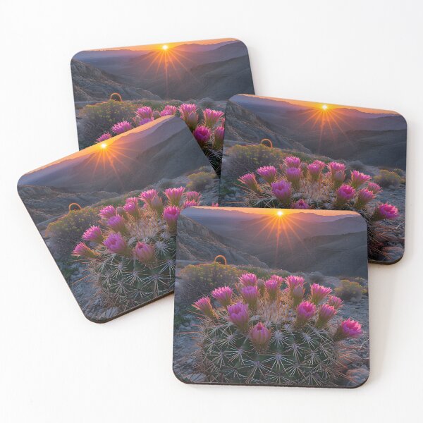 Item preview, Blooming cactus with vivid sunset in the background. designed and sold by Artessie.