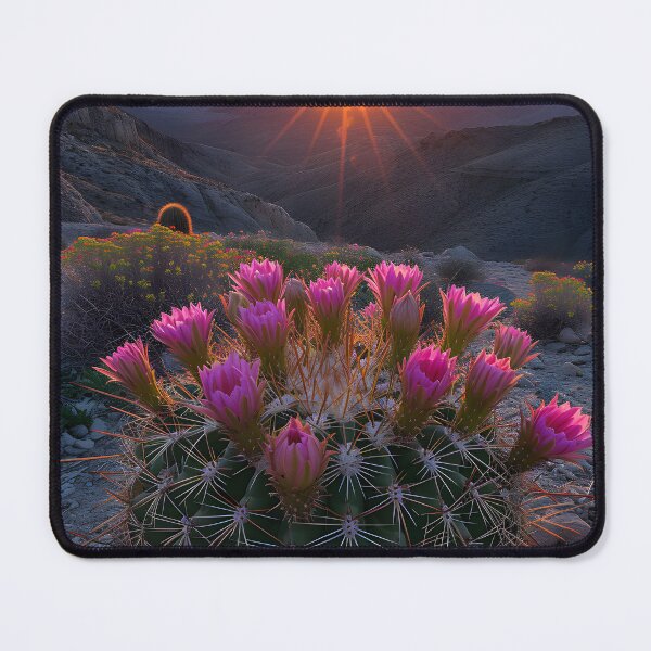 Item preview, Blooming cactus with vivid sunset in the background. designed and sold by Artessie.