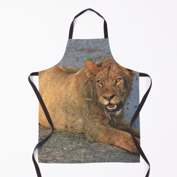 Item preview, A Freshly Fed Lion designed and sold by Kay Brewer.