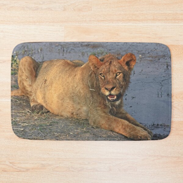 Item preview, A Freshly Fed Lion designed and sold by Kay Brewer.